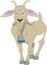 Billy Goat Cartoon Illustration