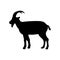 Billy goat mammal black silhouette animal