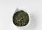 Biluochun (pi lo chun) Green Snail Spring tea