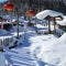 The bimodal forest farm in heilongjiang province - Snow Village