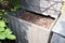 bin in the garden for Composting pile of rotting kitchen fruits and vegetable scraps