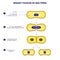 Binary fission process of bacteria vector illustration diagram