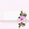 Bindweed flowers with ribbon bow and a card