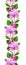 Bindweed flowers seamless pattern
