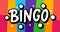 BINGO logo with lottery balls and stars. Bingo game. Vector illustration lucky quote. Fortune text