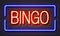 Bingo neon sign