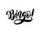Bingo word. Graphic logo design lottery win concept casino banner Vector illustration