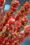 Bingtanghulu Crispy Sugar-Coated Fruit haws,yam,etc.on a Stick;