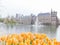 Binnenhof with orange tulips (Dutch color and flower symbols)