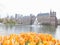 Binnenhof with orange tulips (Dutch color and flower symbols)