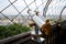 Binocular on Eiffel Tower