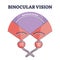 Binocular vision explanation with right and left eye sight outline diagram