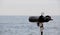 Binoculars facing ocean