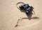 Binoculars next to a human footprint the sand