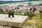 Binoculars on stone bench with view of a small town