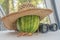 Binoculars and a striped watermelon in a straw hat on the table. Summer has come concept.Hot summer outdoor recreation