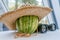 Binoculars and a striped watermelon in a straw hat on the table. Summer has come concept.Hot summer outdoor recreation