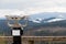 Binoculars telescope on observation deck for tourist. Coin operated electronic binoculars