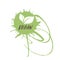 Bio, Ecology, Organic logo and icon, label, tag. Hand drawn bio healthy food badge, vegan.