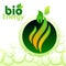 Bio Energy - Clean Energy