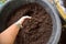 Bio fertilizer earthworm manure for plants