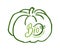 Bio Food Organic Ingredients, Pumpkin Veggie Logo