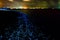 Bio luminescence. Illumination of plankton at Maldives. Many par