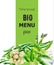Bio Menu cover with various vegetables. Asparagus, beans, onion, spinach, cabbage, pepper cauliflower Watercolor vectors