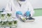 Biochemistry asian Scientist women working plants tissue culture biotechnology in science lab. Biotech Laboratory asian woman look