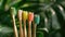 biodegradable bamboo toothbrushes for children, vibrant bristles, set against a green leafy background, emphasizing eco