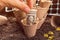 Biodegradable peat pot soil containers and US dollar banknotes