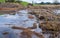 Biodegradable silt sediment net trap at the site of a breached flood bank