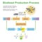 Biodiesel Production Process