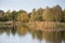 Biodiversity Haff Reimech, wetland and nature reserve in Luxembourg, pond surrounded by reed and trees, bird watching observation