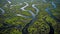 biodiversity peat swamp landscape