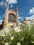 Biodiversity-rich wild flower meadow, planted in front of the iconic King`s College Chapel at Cambridge University.