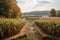 bioenergy plant, with rows of crops and biomass being harvested