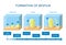 Biofilm formation. stages of biofilm development. Life cycle of bacteria