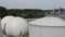 Biogas plant sludge