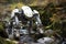 biohybrid robot navigating rough terrain outdoors