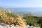 Biokovo mountains near Baska Voda, Croatia