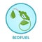 Biolfuel concept. Idea of green oil and alternative fuel