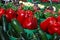 Biologic, natural cultivated sweet pepper on a market counter. Vegetables from the farmers market