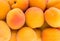 Biological apricots