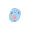 Biological cell or unicellular organism anatomy vector illustration isolated.