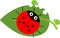 Biological control of aphids. Stylized cute cartoon red ladybug on green leaf with aphids in flat style