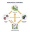 Biological control with insect pest and human intervention outline diagram