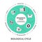 Biological cycle for product, consumption diagram infographic banner template with icon vector has production, product, use phase