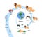 Biological organization and ecosystem flat vector illustration isolated.