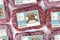 Biologically appropriate raw food for dogs or cats in packaging containing raw frozen beef meat with label